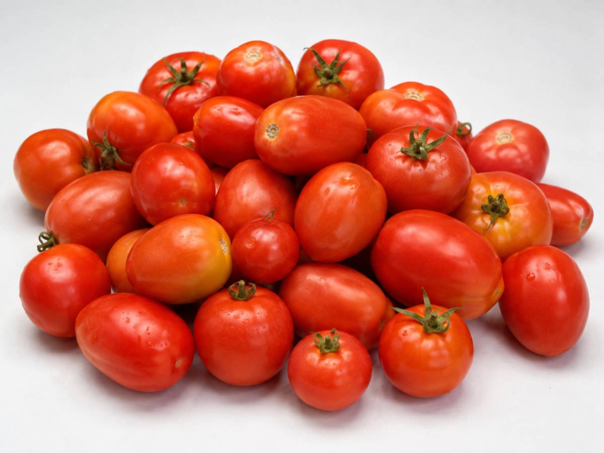 Tomatoes